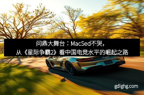 问鼎大舞台：MacSed不哭，从《星际争霸2》看中国电竞水平的崛起之路